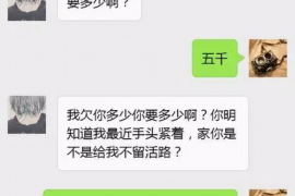 北戴河融资清欠服务